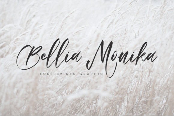 Bellia Monika: A Script Font for Elegant Brand Typography