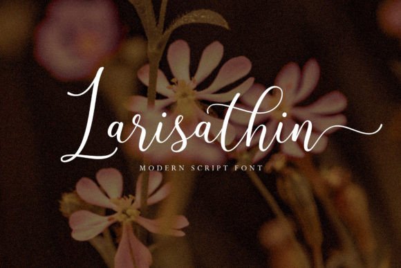 Larisathin Font: Elegant Script for Modern Web Design