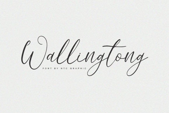 Wallingtong: A Designer’s Take on Real-World Use for Branding and Visual Projects